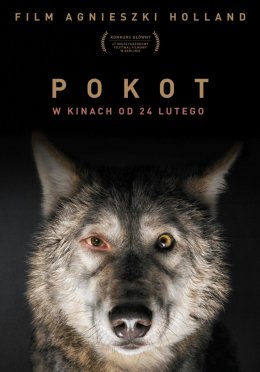 Pokot - film